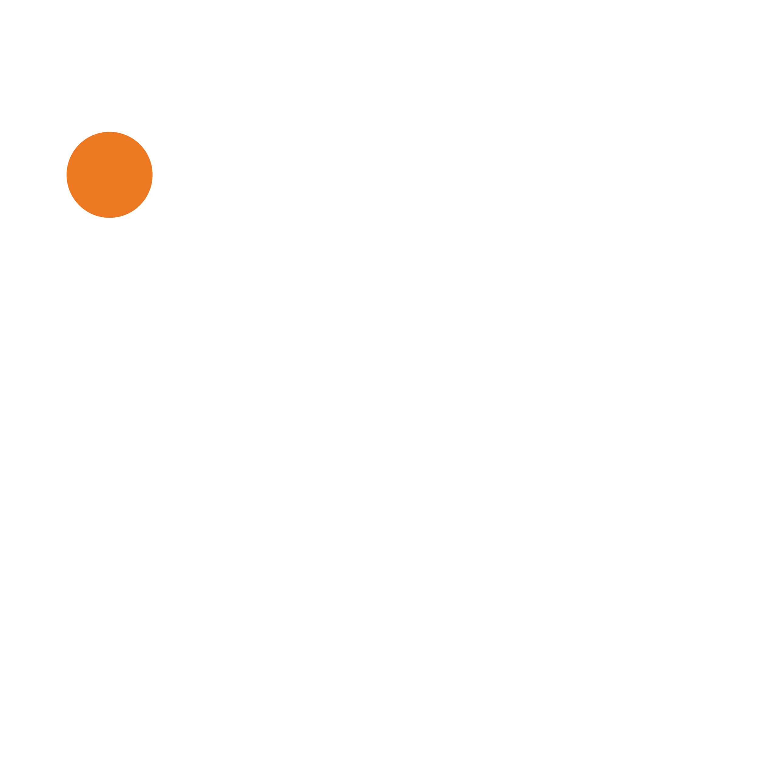 IPG LOGO - WHITE